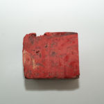 AGP09282