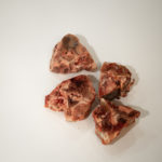AGP09598