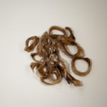 AGP09629